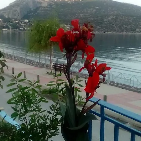 Aggelsol Apartment