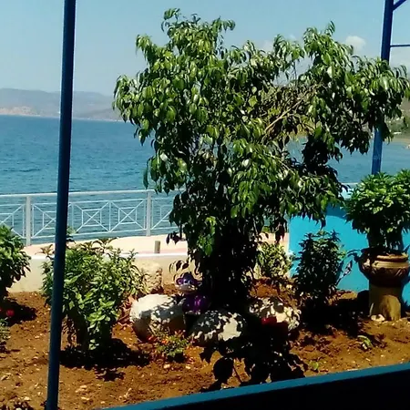 Aggelsol * Aliki (Boeotia)