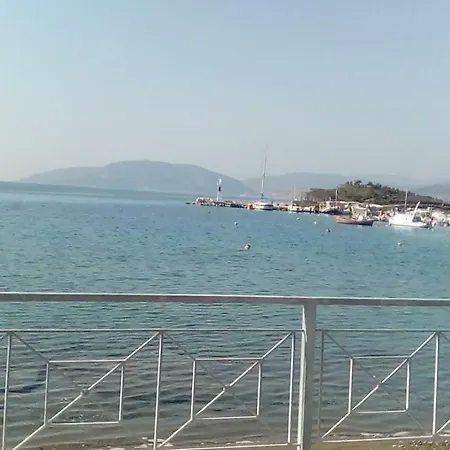 Aggelsol