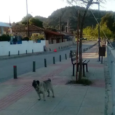 Aggelsol
